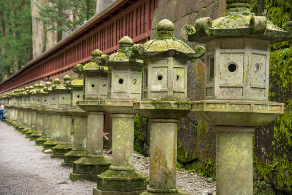 Japanese stone toro