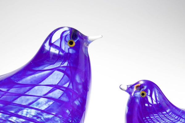 Bluebird - Two Birds Set